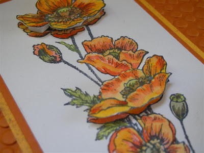 Do flowers do well in 114 degree weather…these do!