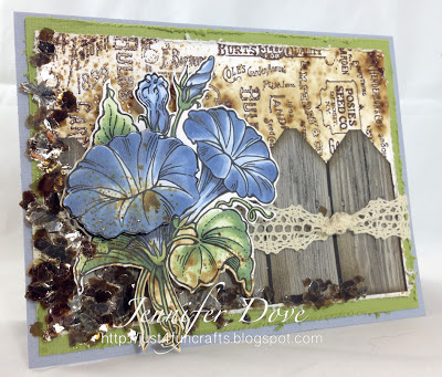 Morning Glory – New Release