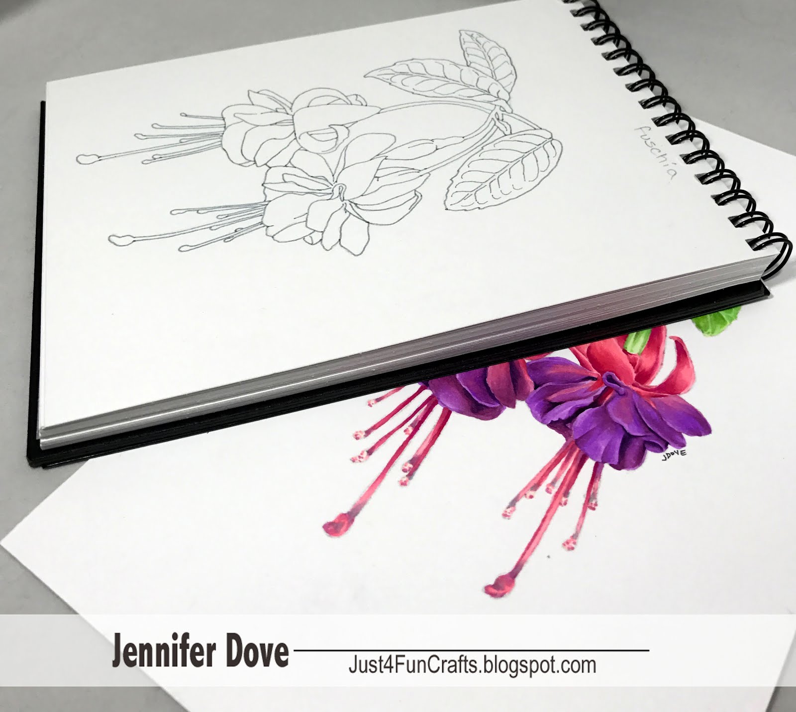 Copic Must Haves – Sketchbook – Just4FunCrafts