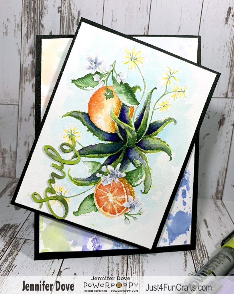 Karin Brushmarker Pro, Watercolor, Power Poppy, Card Making